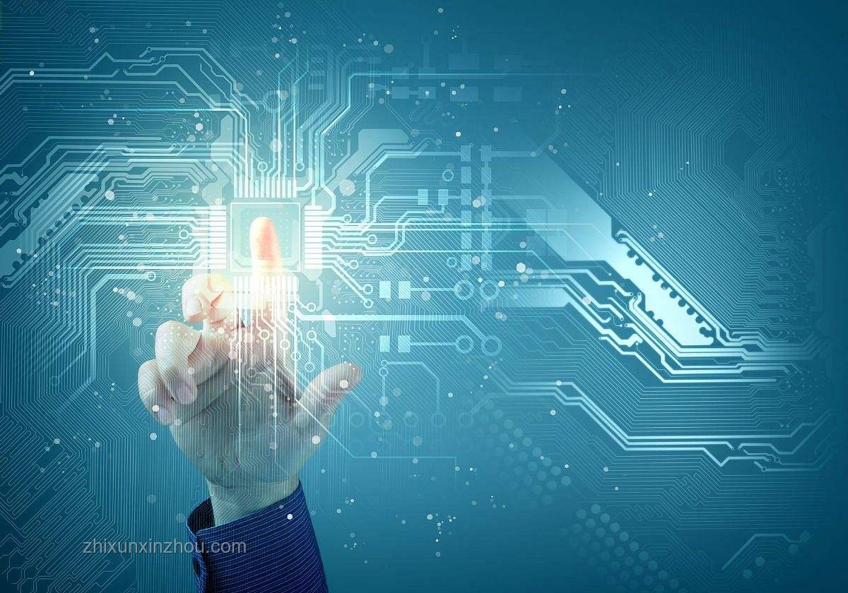 嚴審背后的自由悖論：以數據洞察重塑美式自由觀