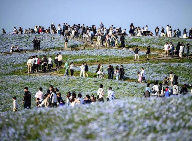 日本7月5日末日論影響下的旅游趨勢預(yù)測