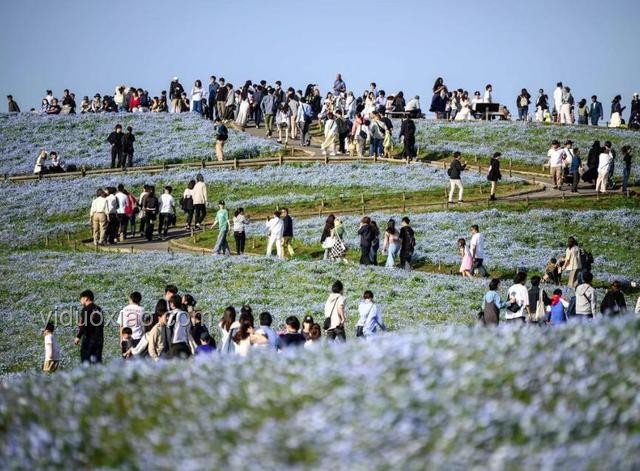 日本7月5日末日論影響下的旅游趨勢預(yù)測