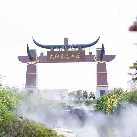 武漢真的很熱嗎？北方人能適應嗎？