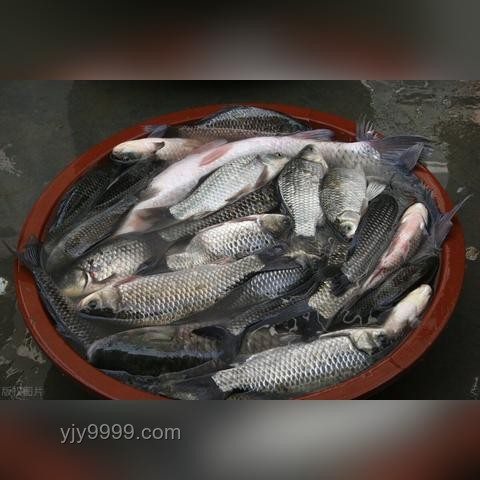 為何人們常答應(yīng)超出能力范圍之事？心理因素解析與應(yīng)對(duì)