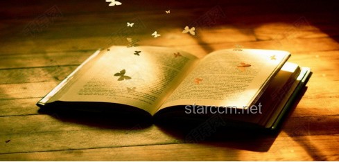 書未竟之途：紙質書的未來與我的枕邊讀物