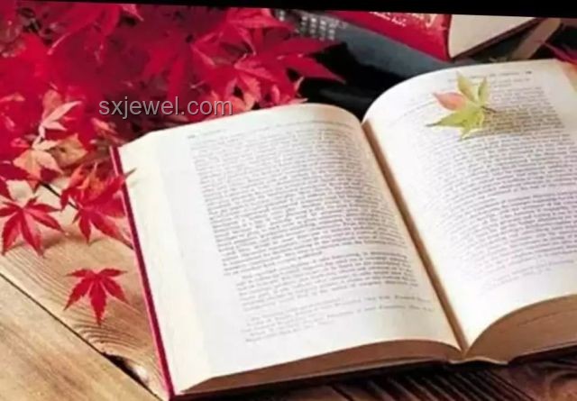 書未逝，枕邊書香：探索閱讀的現(xiàn)代意義與個人推薦