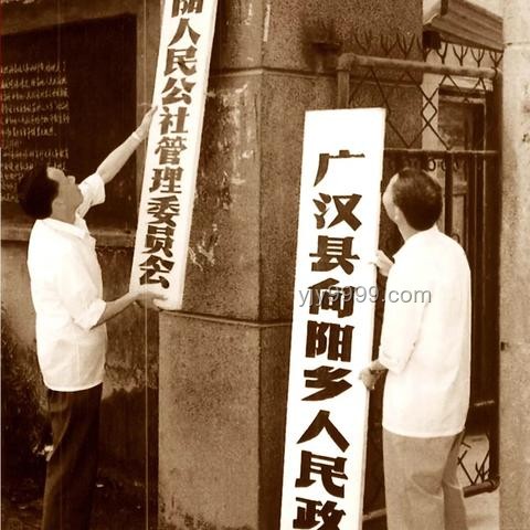 書(shū)真的退出歷史舞臺(tái)了嗎？深度剖析與閱讀現(xiàn)狀