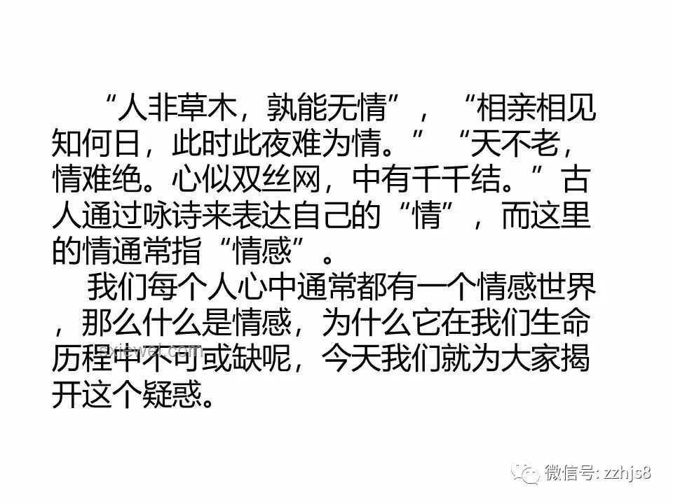 67歲出軌案啟示：情感與法律的跨界創新思考