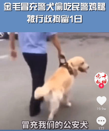 閃婚4個月妻子車禍去世，丈夫澄清：沒騙保
