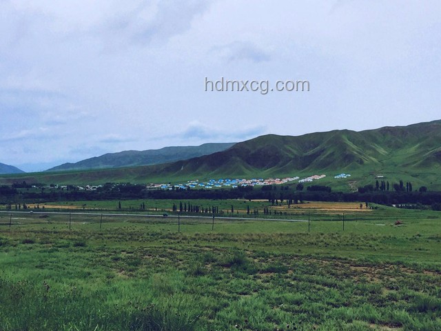 獨(dú)庫(kù)公路逆行囂張認(rèn)罰：未來(lái)交通違規(guī)懲治趨勢(shì)預(yù)測(cè)
