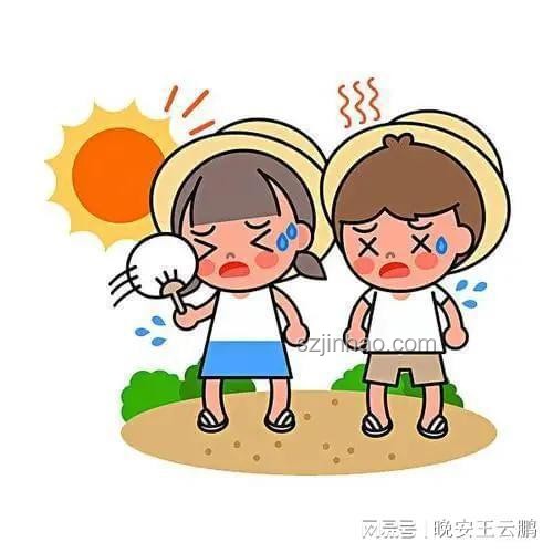 夏天防暑降溫指南：應對極端高溫，保護寵物鳥不中暑