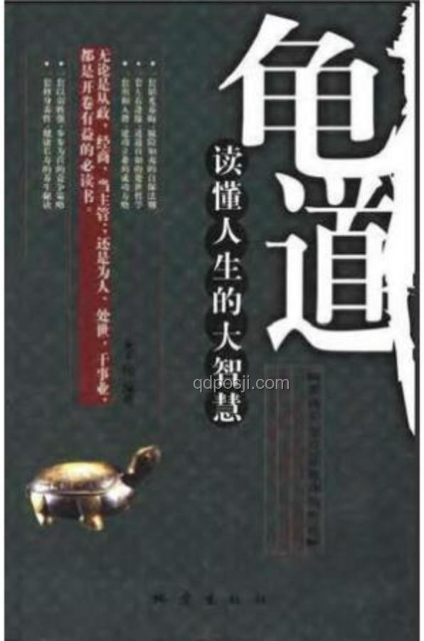 龜速追逐背后的創新啟示：非暴力執法與智慧追蹤