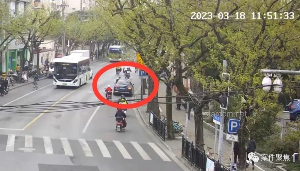 美國女子拒停車事件：不同案例的對比分析
