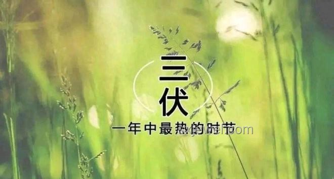 今年三伏天10年難遇，有何特殊講究