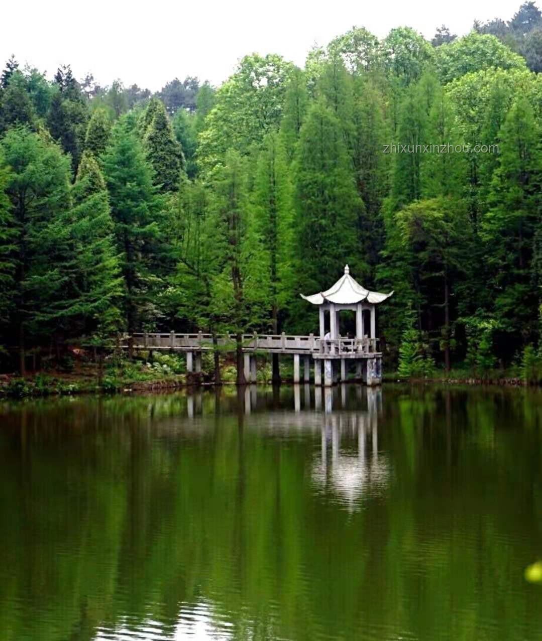 “桑拿天”來了如何應對，清涼度夏策略
