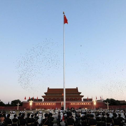 “人民大會堂”假門票案例研究：打擊制假售假與維護公共安全