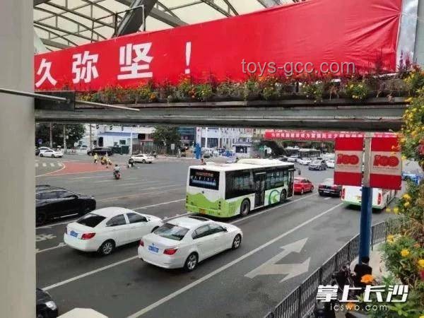 車輛“避曬式”等紅燈：交警嚴正聲明其違法性