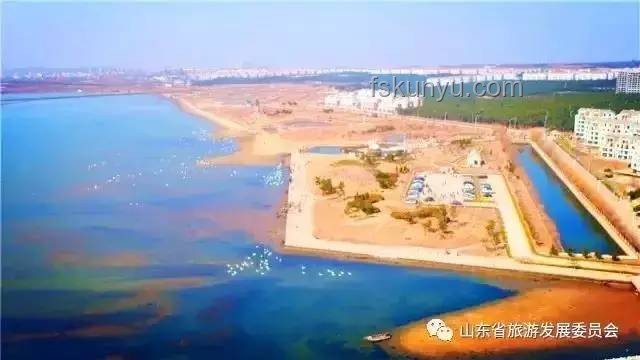 航拍視角下的山東艦夜泊維多利亞港