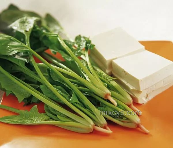 菠菜和豆腐能否同吃？科學(xué)解析與搭配指南