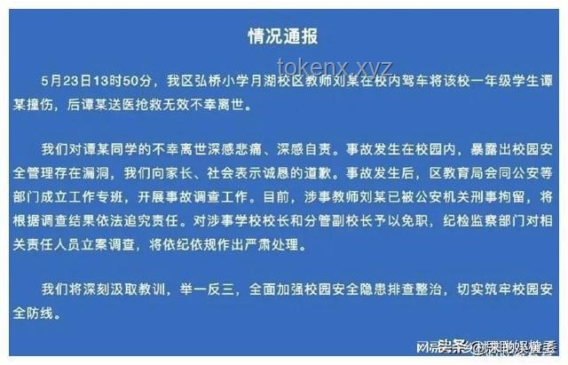 土耳其拘留事件下的創新治理思維探索：跨界對話與民主科技