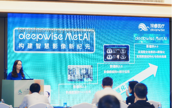 AI照片變視頻：重塑影像創作新紀元，引領創新潮流