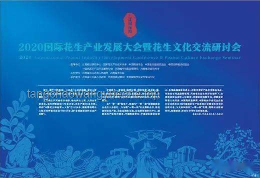 若塔葬禮籌備指南：全面規(guī)劃與情感支持