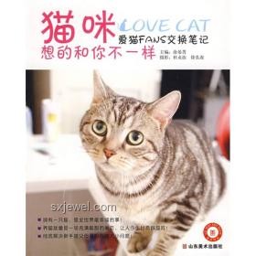貓非同類，卻情深似海：揭秘喵星人共居之謎????