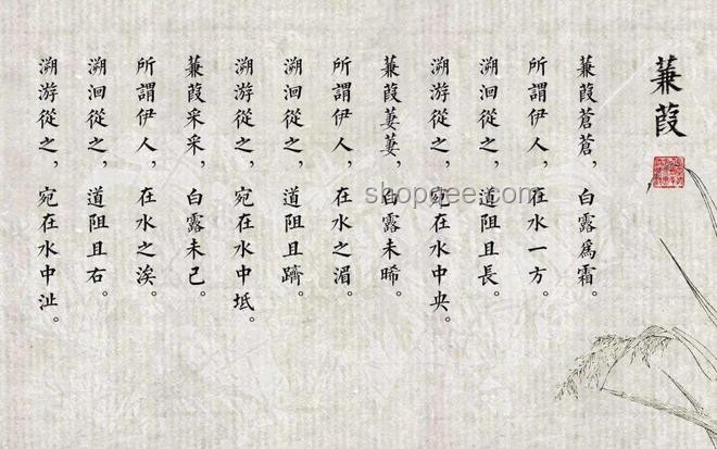 古人夸才夸四書五經：才華背后的秘密