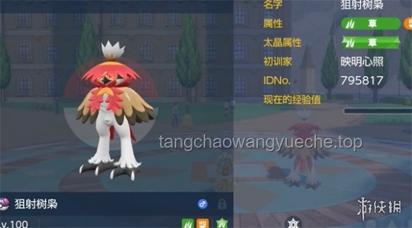 絕區零2.1星見雅復刻攻略：高效獲取與培養策略