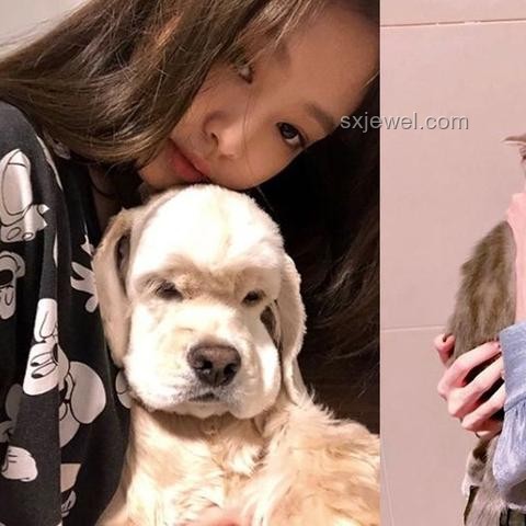 BLACKPINK演唱會偶遇鄧超孫儷一家：應對與互動策略
