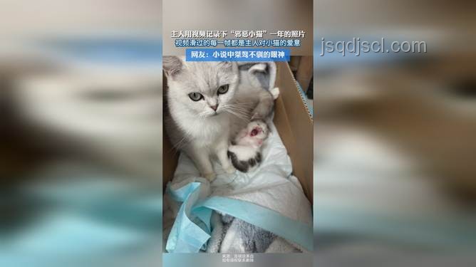 小程邪惡小貓：網絡昵稱背后的趣味文化解析