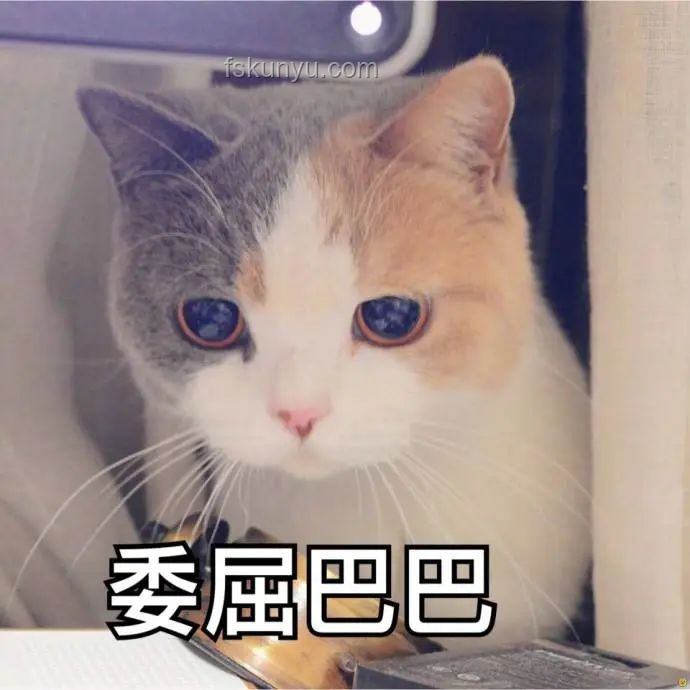 小程邪惡小貓：跨界萌寵激發(fā)創(chuàng)意無(wú)限