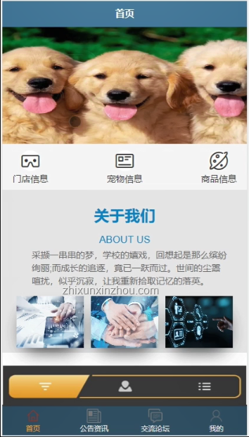 小程邪惡小貓：網絡昵稱背后的文化現象解析