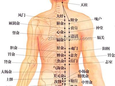 脊柱最喜歡的4個動作，有效緩解腰背疼痛