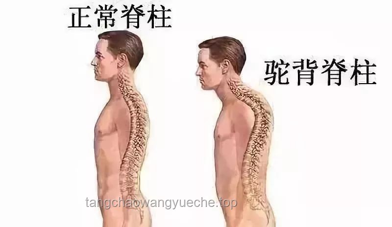 脊柱守護者：我最愛的4個舒緩動作???♀?，告別久坐僵硬