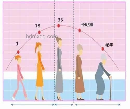脊柱最喜歡的4個動作：專業解析與健康指南
