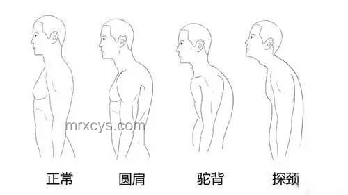脊柱保健新風(fēng)尚：揭秘脊柱最喜歡的4個(gè)動(dòng)作