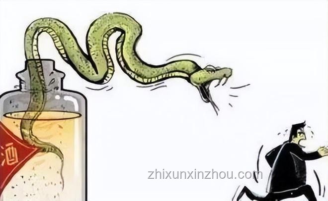 毒蛇咬傷驚魂記：如何迅速鑒定與自救