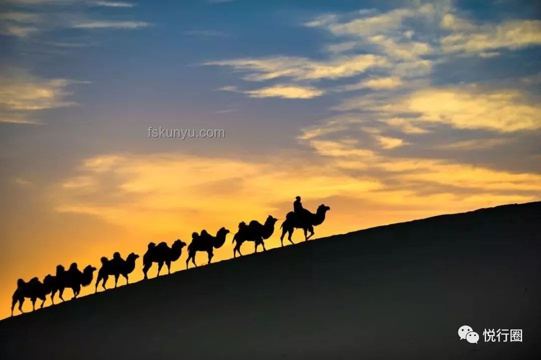 穿越沙漠的青春之旅：青春旅行團(tuán)11探索罕見美景案例研究