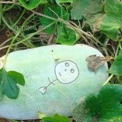 《葫蘆兄妹》動畫創新演繹，跨界融合動畫新紀元！