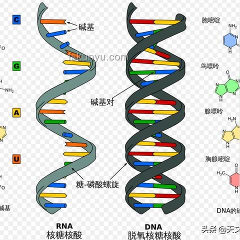 看完新番進化論：2025動漫界的創(chuàng)新啟示錄，跨界思維引爆！