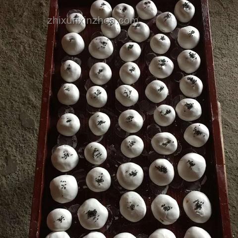 聆聽方塊碰撞：探索物理世界的奇妙樂章