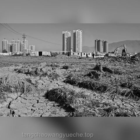 “大人，時代變了!”：解讀社會變遷與行業轉型的深度剖析