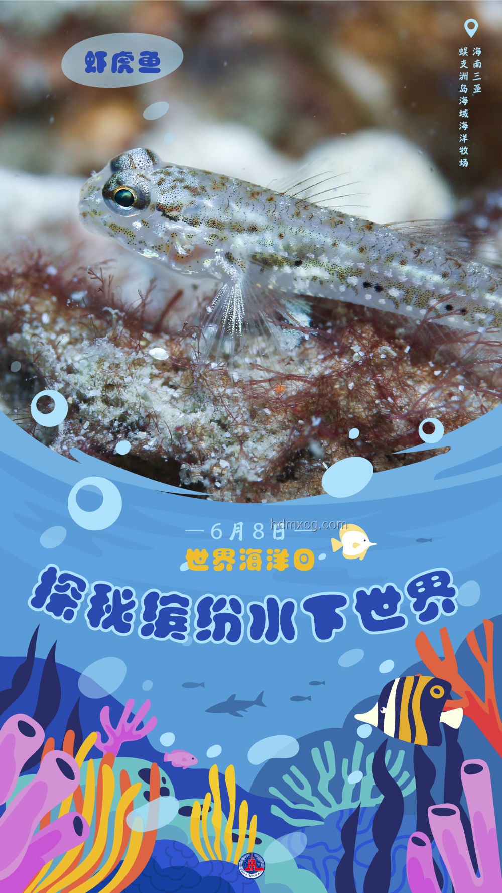 MC未知生物探秘：它們真的在觀察我們？活生生的世界揭秘