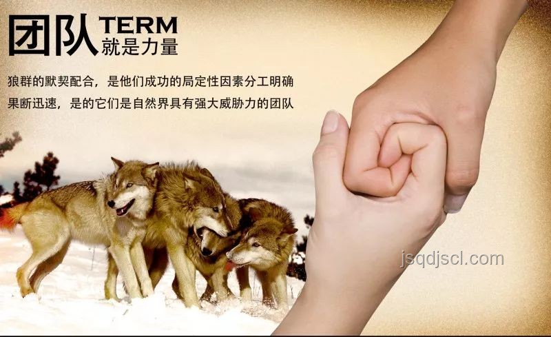《狼群中出了一個叛徒》：識別與應對團隊背叛實用指南