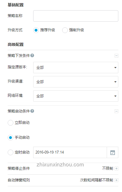 ??"Hachimiko"形狀設計興起：寵物用品創新趨勢洞察
