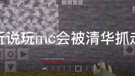 《火柴人vs我的世界系列 第零集 測試版（Beta）》深度分析