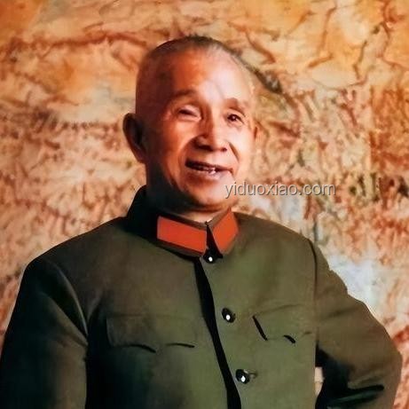 盲從與獨立思考：社會現象對比分析