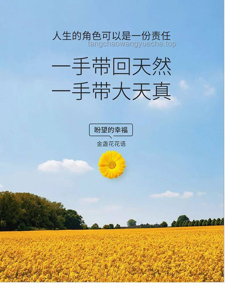 如何在渾濁環境中保持清白與真誠