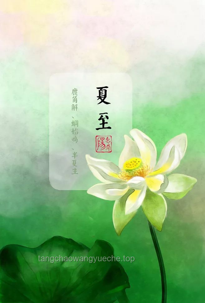 小暑節氣養生指南：“不宜舉大事”，三大重點需謹記