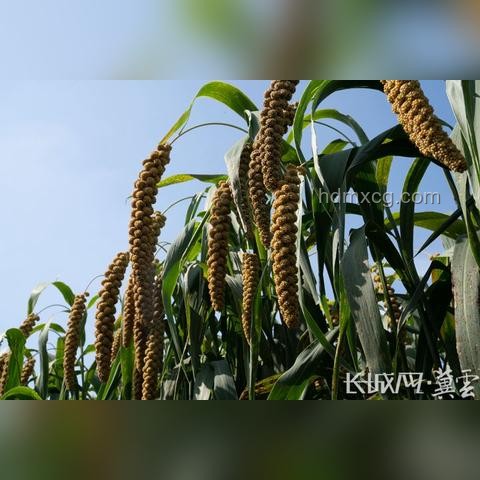 ??2025年暑假安全攻略：7月7日必知小貼士?