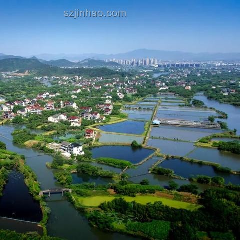 2025年暑假安全指南(7月7日發布),暑假安全,兒童保護,水域安全,出行建議 2025年暑假安全指南(7月7日發布),暑假安全,兒童保護,水域安全,出行建議