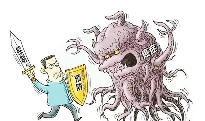 每天早餐加核桃，有效降低全身炎癥與癌癥風(fēng)險(xiǎn)